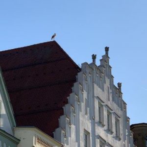 2021-Straubing (39)