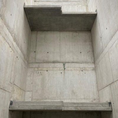 Aquarium-2021 (26)